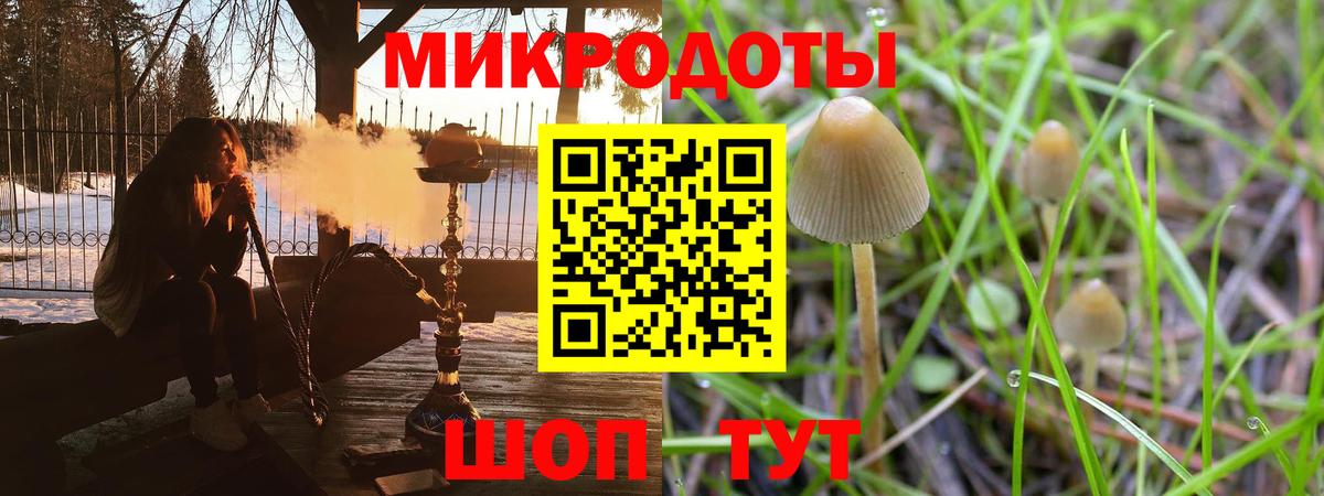 Псилоцибиновые грибы Magic Shrooms  Вход с VPN  Тара  Псилоцибиновые грибы Psilocybe 