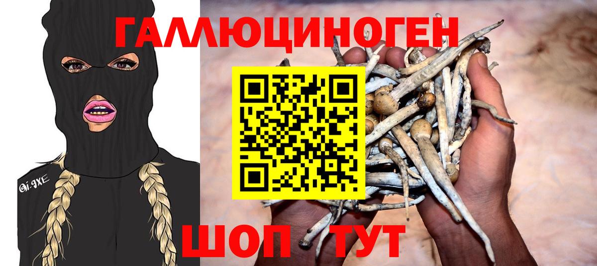 Псилоцибиновые грибы GOLDEN TEACHER Тара