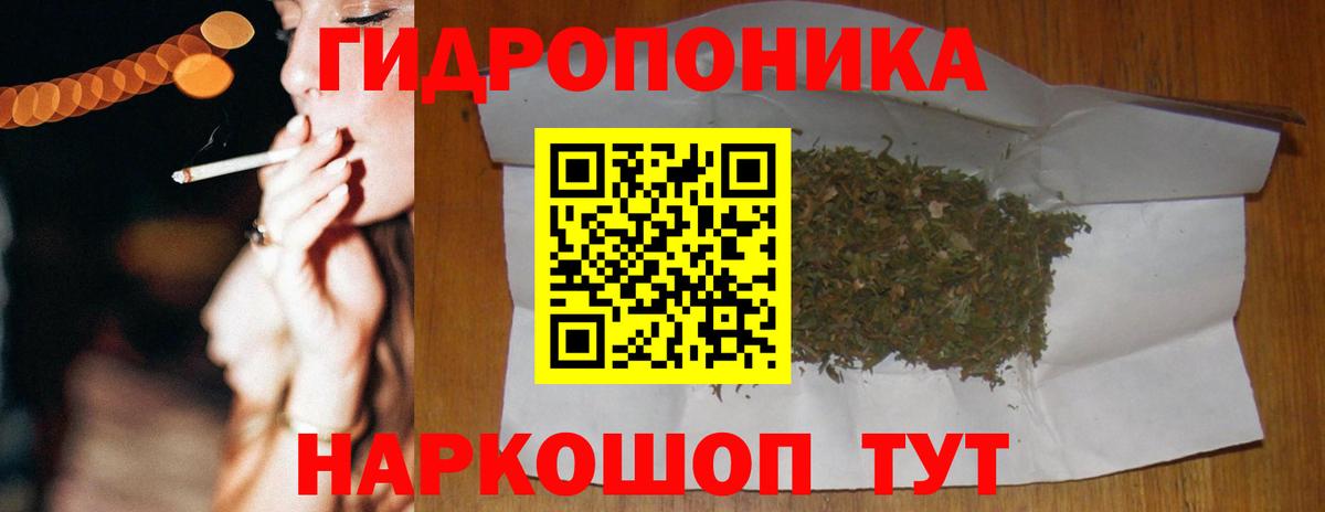 Марихуана сатива Тара